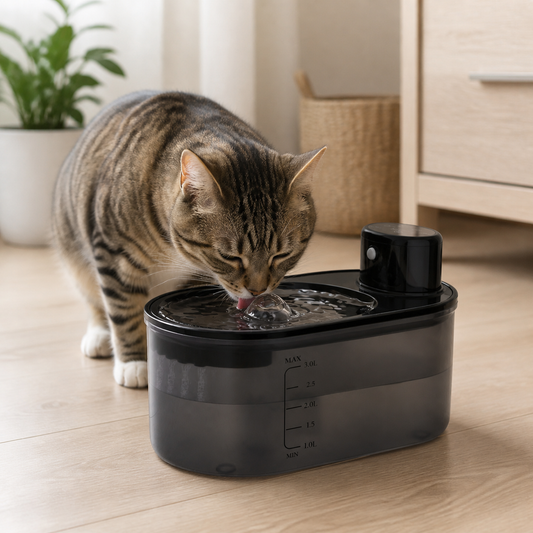 Tyst kattfontän med sensor